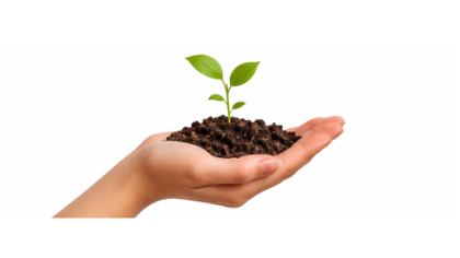 Evento: Giornata ecologica 2026