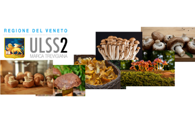 logo stagione funghi 2024
