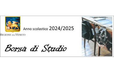logo borsa studio 24-25