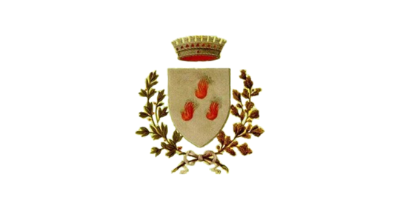 logo consiglio logo consiglio