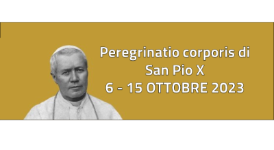 logo sapiox logo sapiox