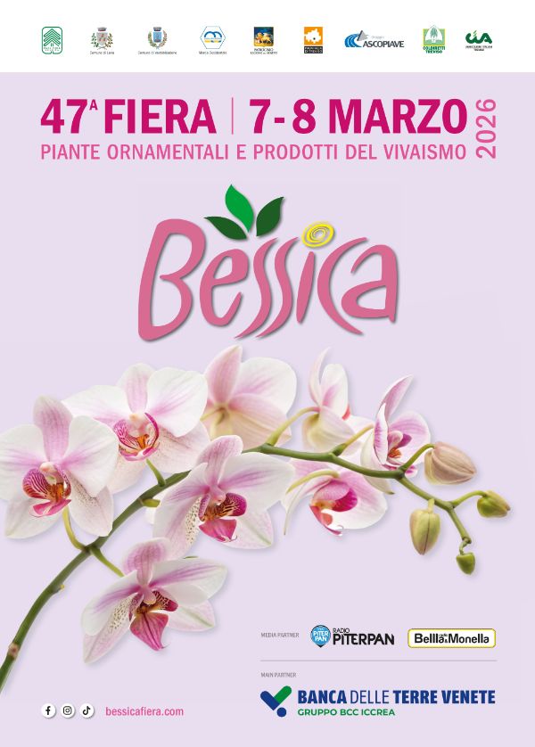 bessica-manifesto100x140.pdf (4)